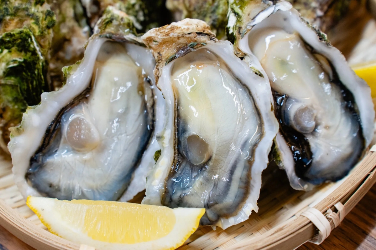カキのクローズアップ写真。レモンが添えられており、木製の皿の上に置かれている。