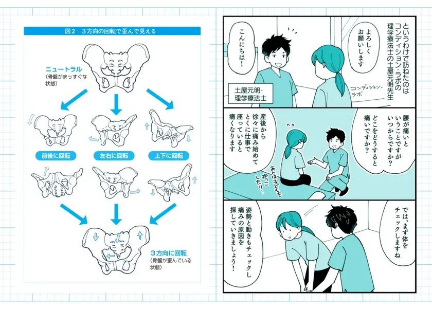 骨盤の「回転(回旋)」という動きに着目